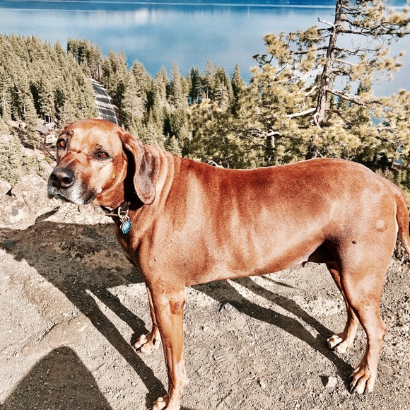 Meet your Posher, Sarah - Picture 4 of 11